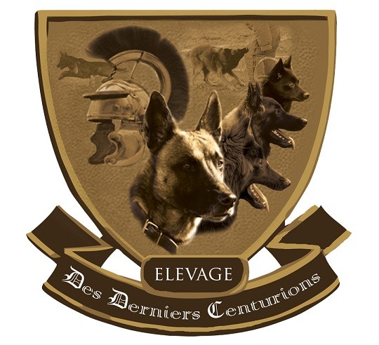 Des Derniers Centurions